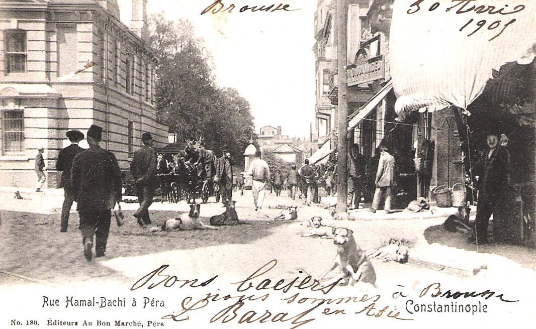 Զարդարեանի Վերջին Գիշերը (Ե)